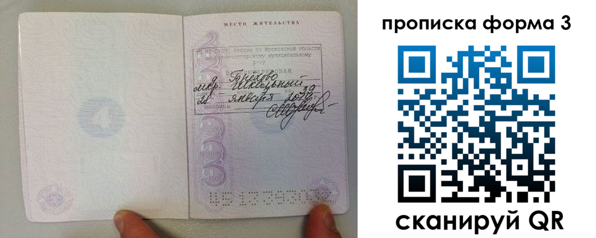 прописка гарантия в Сертолово